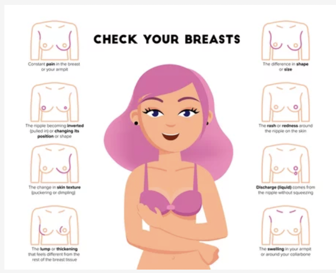My Breast My Health Diagram